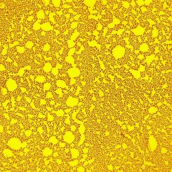 Acinetobacter sp. 2C37 Acinetobacter sp. 2C37