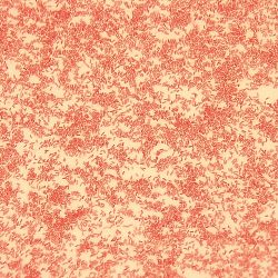 Pseudomonas sp. Pseudomonas sp.